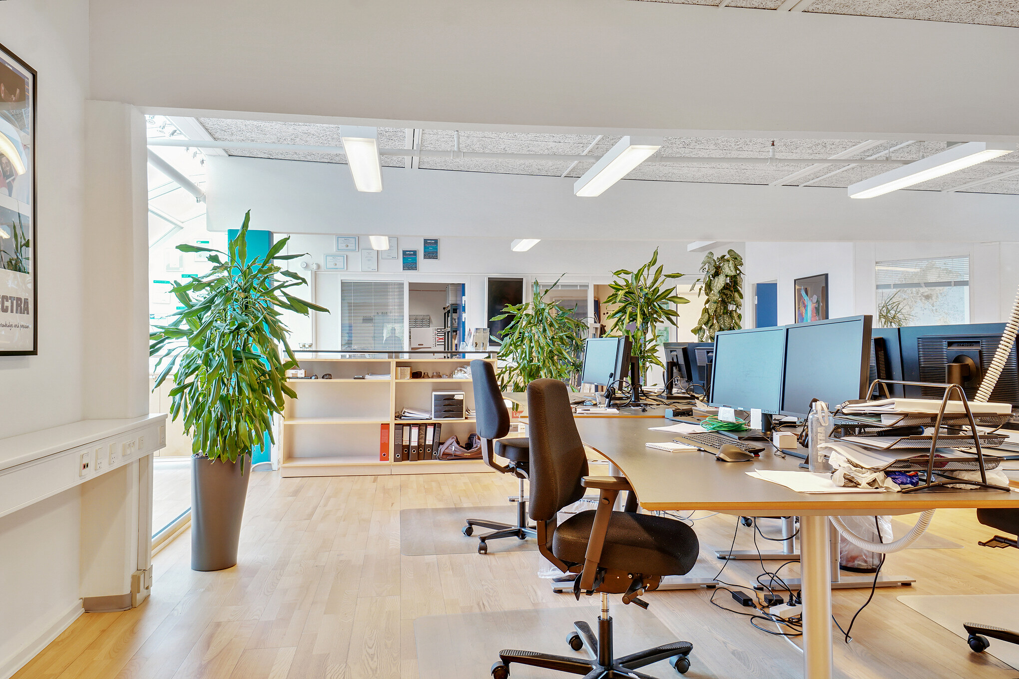 296 m² kontorlokaler - Blangstedgårdsvej - Odense SØ