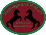 logo Hegnsgaard